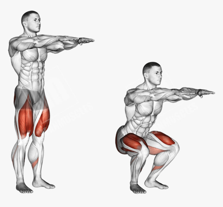 Importance of doing squats workouts